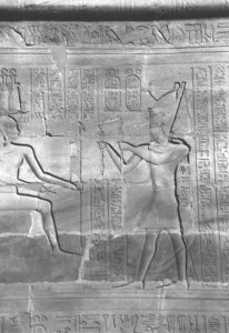 Photo »4332« aus dem Edfu-Projekt.