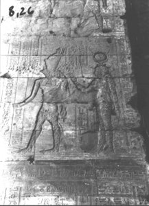 Photo »544« of the Edfu-Project.