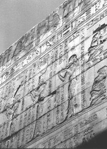 Photo »3549« aus dem Edfu-Projekt.