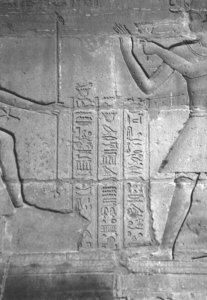 Photo »4366« aus dem Edfu-Projekt.