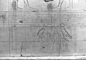 Photo »712« of the Edfu-Project.