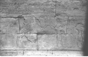 Photo »1092« aus dem Edfu-Projekt.
