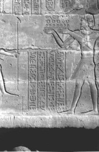 Photo »4073« aus dem Edfu-Projekt.