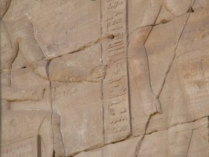 Photo »D05_4554« of the Edfu-Project.