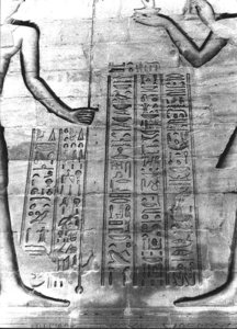 Photo »2884« aus dem Edfu-Projekt.