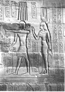 Photo »3981« aus dem Edfu-Projekt.