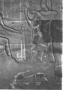 Photo »4049« aus dem Edfu-Projekt.