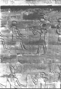 Photo »406« aus dem Edfu-Projekt.