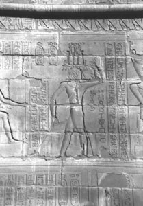 Photo »4317« aus dem Edfu-Projekt.