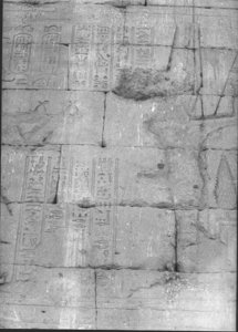 Photo »889« aus dem Edfu-Projekt.