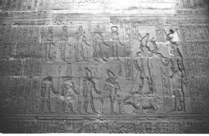 Photo »1165« aus dem Edfu-Projekt.