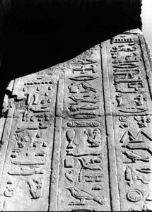 Photo »2748« aus dem Edfu-Projekt.