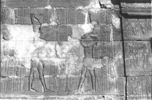 Photo »299« aus dem Edfu-Projekt.