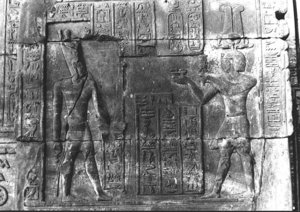 Photo »3187« aus dem Edfu-Projekt.