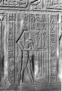 Photo »3916« of the Edfu-Project.