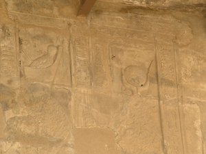 Photo »D05_0203« of the Edfu-Project.