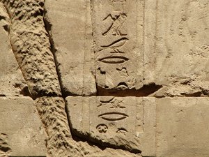 Photo »D05_1376« aus dem Edfu-Projekt.