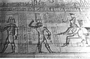 Photo »1123« aus dem Edfu-Projekt.