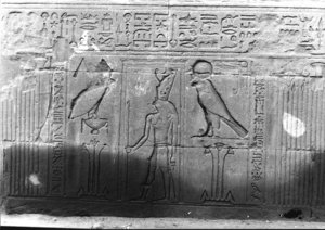 Photo »2020« aus dem Edfu-Projekt.