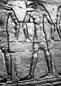 Photo »2954« aus dem Edfu-Projekt.