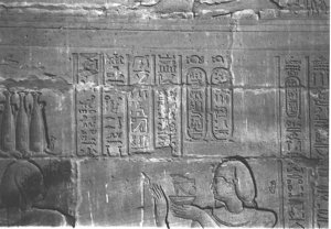 Photo »4050« aus dem Edfu-Projekt.