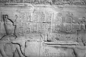 Photo »4431« aus dem Edfu-Projekt.