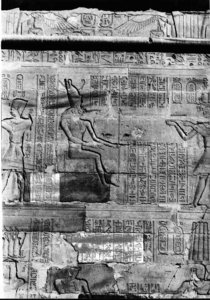 Photo »466« aus dem Edfu-Projekt.