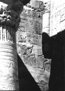 Photo »3539« aus dem Edfu-Projekt.