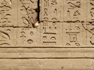 Photo »D05_1189« aus dem Edfu-Projekt.