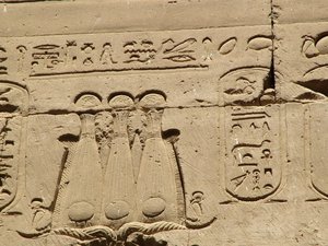 Photo »D05_1373« aus dem Edfu-Projekt.