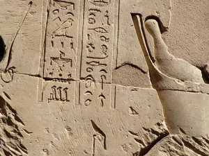 Photo »D05_1569« aus dem Edfu-Projekt.