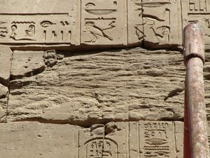 Photo »D05_0890« aus dem Edfu-Projekt.