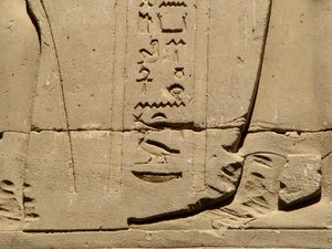 Photo »D05_1334« aus dem Edfu-Projekt.