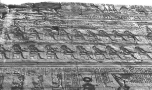 Photo »1511« aus dem Edfu-Projekt.