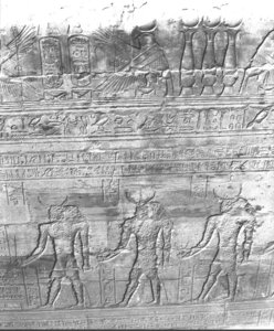 Photo »3042« aus dem Edfu-Projekt.