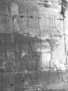 Photo »3134« of the Edfu-Project.