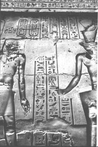 Photo »1306« aus dem Edfu-Projekt.