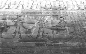 Photo »1407« aus dem Edfu-Projekt.