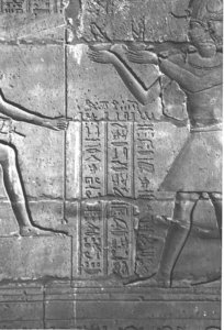 Photo »4291« aus dem Edfu-Projekt.