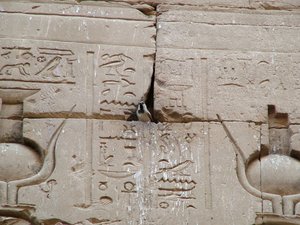 Photo »D05_2707« aus dem Edfu-Projekt.