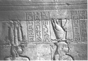 Photo »3993« aus dem Edfu-Projekt.