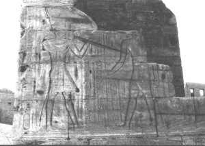 Photo »2613« of the Edfu-Project.