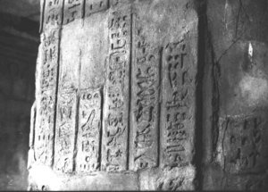 Photo »3343« aus dem Edfu-Projekt.