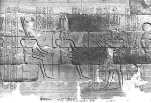 Photo »370« aus dem Edfu-Projekt.