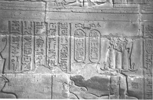 Photo »4214« aus dem Edfu-Projekt.