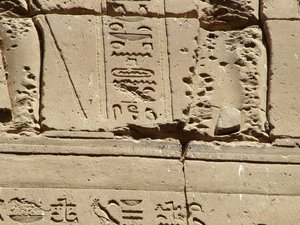 Photo »D05_0852« aus dem Edfu-Projekt.