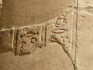Photo »D05_5969« of the Edfu-Project.
