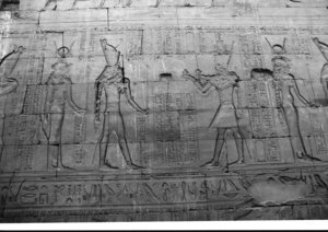 Photo »1490« aus dem Edfu-Projekt.