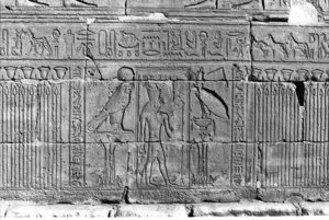 Photo »194« of the Edfu-Project.