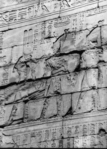 Photo »3545« aus dem Edfu-Projekt.